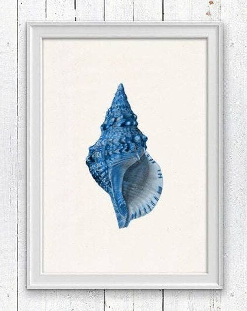 Sea shell electric blue Sea life print - White 8x10