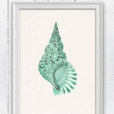 Sea shell print in seafoam n01 - A4 white 8.26x11.6