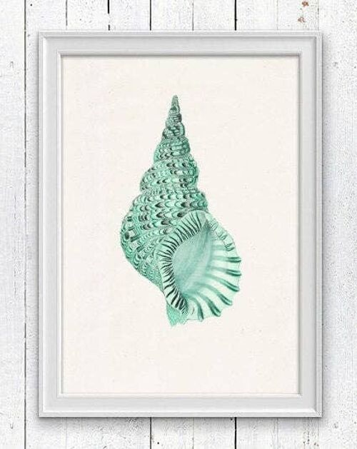 Sea shell print in seafoam n01 - A5 white 5.8x8.3