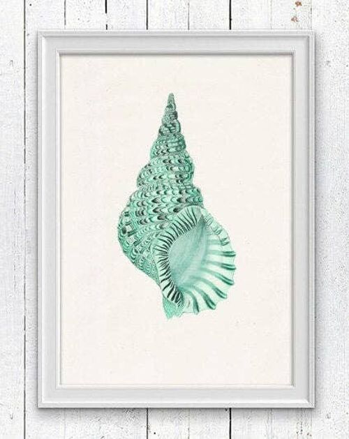 Sea shell print in seafoam n01 - White 8x10