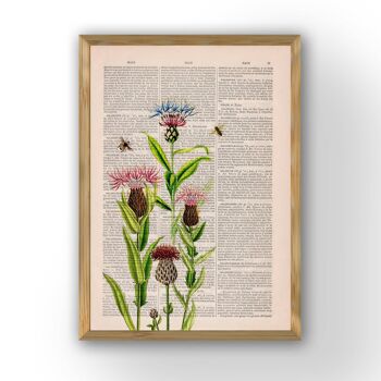 Cadeau de sœur, abeilles avec impression de cardons - Cadeau de pendaison de crémaillère - Art mural abeille - Dictionnaire d'art - Page de livre - Impression de livre de fleurs - BFL231 - Musique L 8,2 x 11,6 (sans cintre) 2