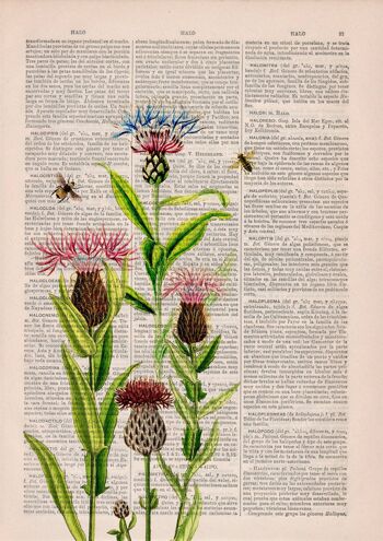 Cadeau de sœur, abeilles avec impression de cardons - Cadeau de pendaison de crémaillère - Art mural abeille - Dictionnaire d'art - Page de livre - Impression de livre de fleurs - BFL231 - Musique L 8,2 x 11,6 (sans cintre) 4