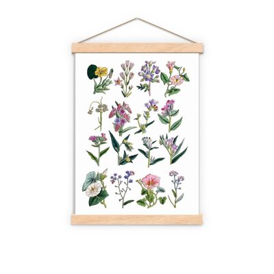 Sister gift, Christmas Gifts, Gift for her, Christmas Gifts for mom, Wall art print Wild soft colour flowers collection wall decor BFL215WA4 - A5 White 5.8x8.2 (No Hanger)