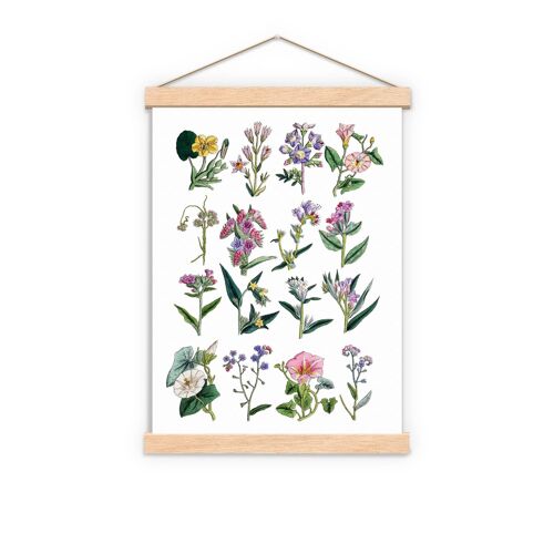 Sister gift, Christmas Gifts, Gift for her, Christmas Gifts for mom, Wall art print Wild soft colour flowers collection wall decor BFL215WA4 - A4 White 8.2x11.6 (No Hanger)