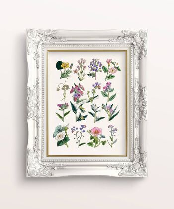 Cadeau sœur, Cadeaux de Noël, Cadeau pour elle, Cadeaux de Noël pour maman, Impression d'art mural Décoration murale de collection de fleurs sauvages aux couleurs douces BFL215WA4 - A4 Blanc 8,2 x 11,6 (sans cintre) 3