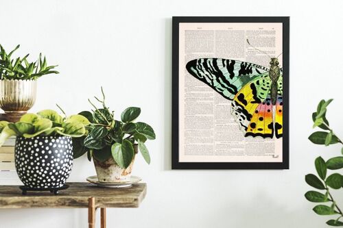 Spring decor Colorful Butterfly detail - Book Page L 8.1x12 (No Hanger)
