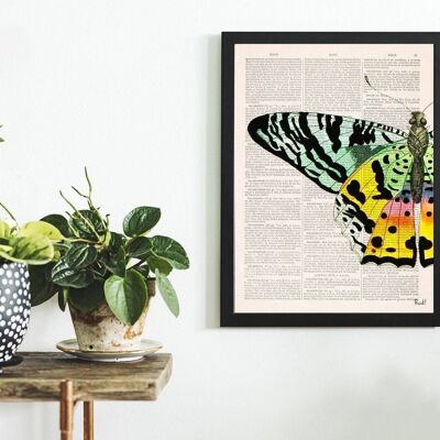 Decorazioni primaverili Dettaglio farfalla colorata - Pagina libro L 8,1x12 (senza gruccia)