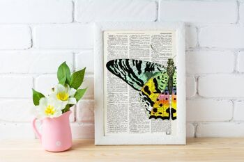 Décor de printemps Détail papillon coloré - Page de livre S 5x7 (Pas de cintre) 4