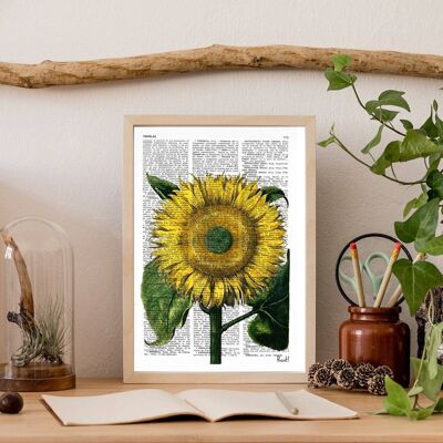 Sunflower Botanical Art - Book Page L 8.1x12 (No Hanger)