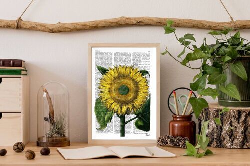Sunflower Botanical Art - Book Page M 6.4x9.6 (No Hanger)