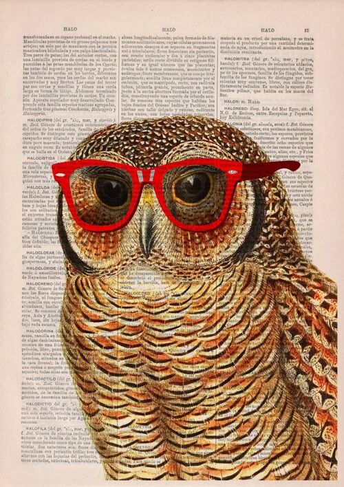 Unique gift, home gift, Christmas Gifts, Cool Owl with sunglasses wall decor printed on vintage book page great for gifts ANI035 - Book Page M 6.4x9.6