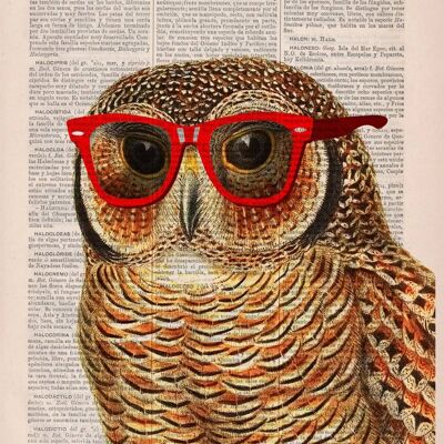 Cadeau unique, cadeau pour la maison, cadeaux de Noël, chouette cool avec décoration murale de lunettes de soleil imprimée sur une page de livre vintage idéale pour les cadeaux ANI035 - Page de livre M 6,4 x 9,6