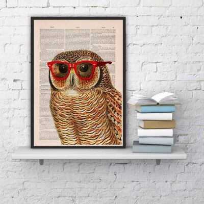 Unique gift, home gift, Christmas Gifts, Cool Owl with sunglasses wall decor printed on vintage book page great for gifts ANI035 - Book Page L 8.1x12