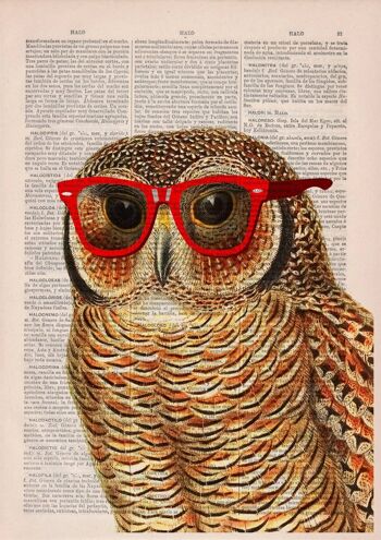 Cadeau unique, cadeau pour la maison, cadeaux de Noël, chouette cool avec décoration murale de lunettes de soleil imprimée sur une page de livre vintage idéale pour les cadeaux ANI035 - Affiche A3 11,7 x 16,5 2