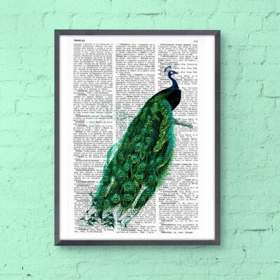 Unique gift, Xmas Svg, Gift for him, Christmas Gifts, Beautiful Peacock illustration printed on vintage book page perfect for gifts Ani148b - A3 Poster 11.7 x 16.5