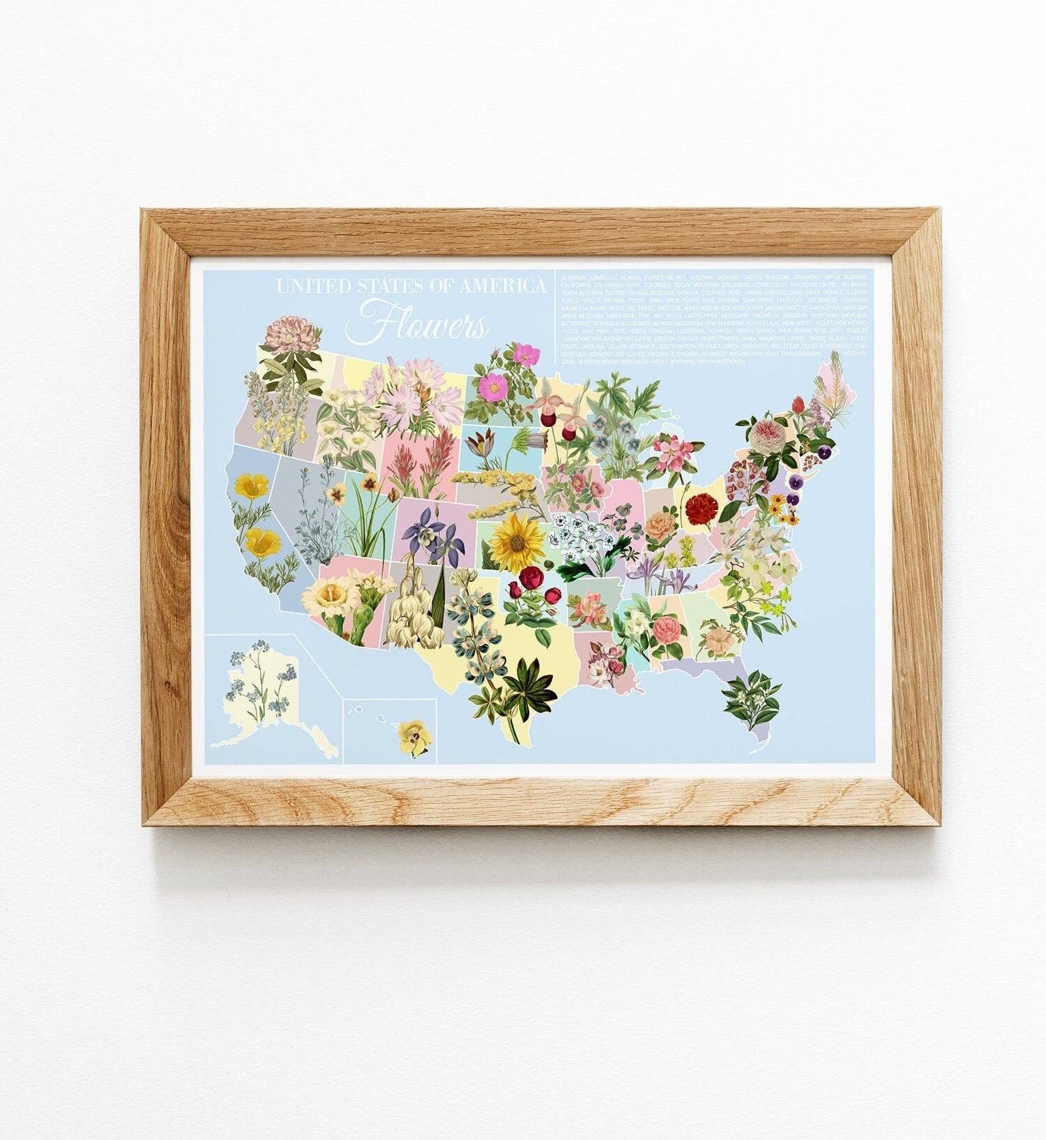 Botanische Karte der Vereinigten Staaten von Amerika (ohne Aufhänger)