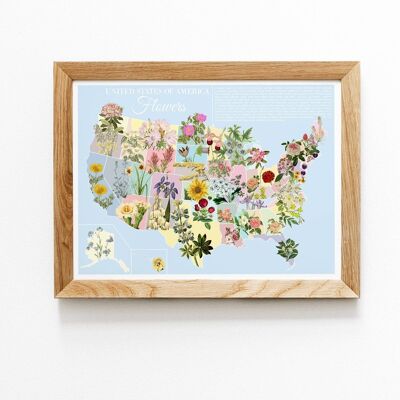 United States Flowers Botanical Map (No Hanger)