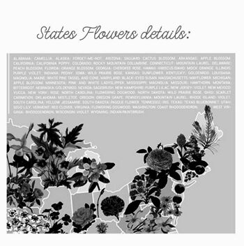 Carte botanique des fleurs des États-Unis (sans cintre) 3