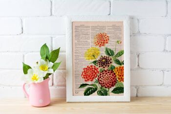 Collage d'art de bouquet de dahlias vintage - Affiche A3 11.7x16.6 3