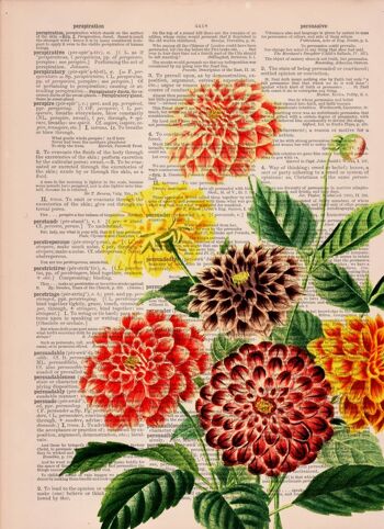 Collage d'art de bouquet de dahlias vintage - Affiche A3 11.7x16.6 4