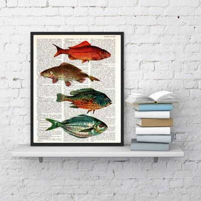 Affiche de poissons vintage - Page de livre M 6.4x9.6