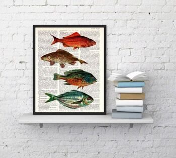 Affiche de poissons vintage - Page de livre M 6.4x9.6 1