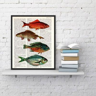 Vintage fishes Print - Book Page L 8.1x12