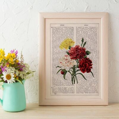 Illustrazione d'epoca di un bouquet di garofani - Pagina del libro S 5 x 7