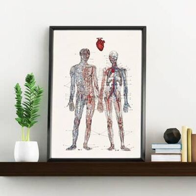 Kunstdruck auf der Wand Ich liebe dich von ganzem Herzen Poster der menschlichen Anatomie SKA167WA4 – A3 Weiß 11,7 x 16,5