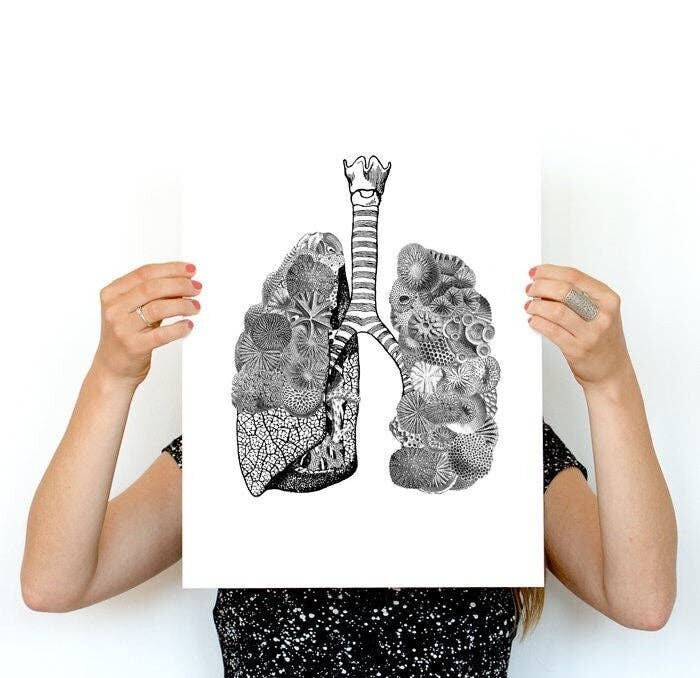 Wandkunstdruck Lungen des Meeres, anatomische Kunst mit Meeresornament, Anatomiekunst, Wandkunstdekor, Meereslebenskunst, Arztgeschenk, SKA166 – A5 weiß 5,8 x 8,2