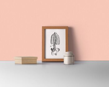 Skeleton Trunk Study in Black, Anatomy wall art, Doctor office gift, Office wall art, Science wall art, Spine art, SKA040 - A5 White 5.8x8.2 (No Hanger) 3
