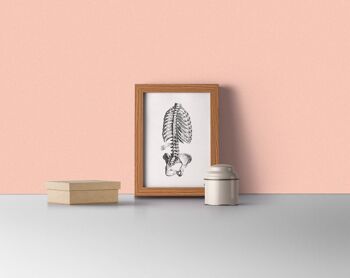 Skeleton Trunk Study in Black, Anatomy wall art, Doctor office gift, Office wall art, Science wall art, Spine art, SKA040 - A3 White 11.7x16.5 (No Hanger) 3