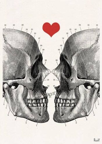 Wall Art Print Skulls in Love Anatomical Wall Art Decor SKA001WA4 - A4 Blanc 8,2 x 11,6 (sans cintre) 2