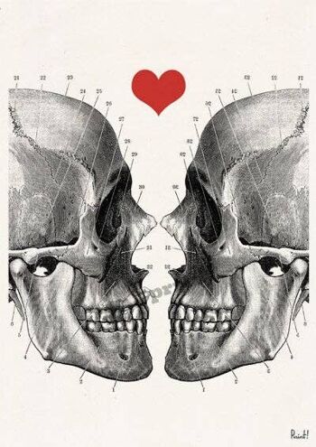 Wall Art Print Skulls in Love Anatomical Wall Art Decor SKA001WA4 - A4 Blanc 8,2x11,6 2