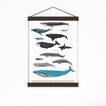 Whale Art Print - Sea Animal Print - A4 White 8.2x11.6 (No Hanger) 2