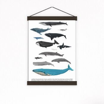 Whale Art Print - Sea Animal Print - White 8x10 (No Hanger) 2