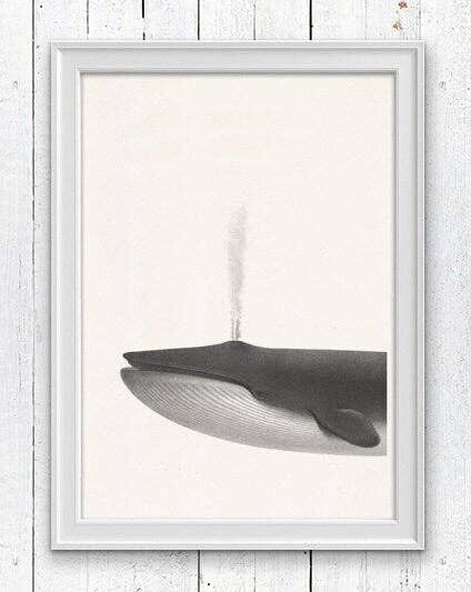 Whale Sea Life Print - A5 Weiß 5,8 x 8,2