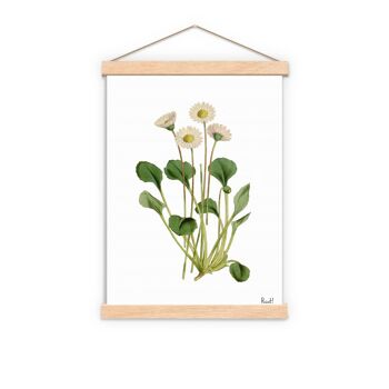 White dasy Impression d'art de la flore sauvage - Page de livre L 8.1x12 (No Hanger) 3