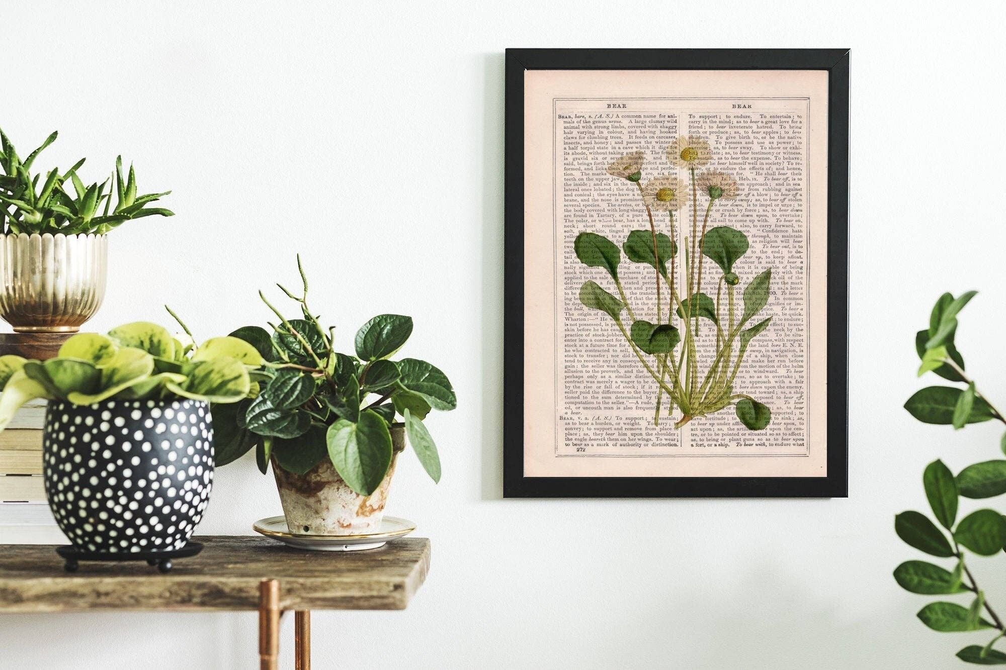 White Dasy Wild Flora Kunstdruck – Musik L 8,2 x 11,6 (ohne Aufhänger)