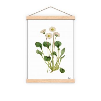 Impression d'art de la flore sauvage dasy blanc - A5 blanc 5.8x8.2 (sans cintre) 3