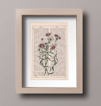 Marguerites sauvages en lilas Flower Wall art - A4 Blanc 8.2x11.6 4