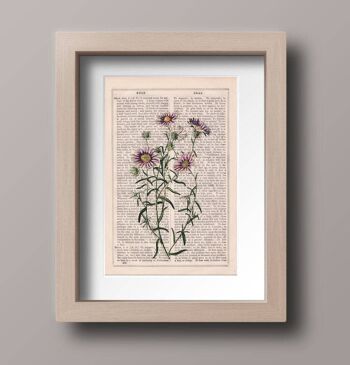 Marguerites sauvages en lilas Flower Wall art - White 8x10 (No Hanger) 4