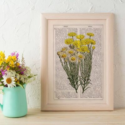 Fleurs de marguerites sauvages Impressions d'art mural - Page de livre L 8.1x12 (No Hanger)