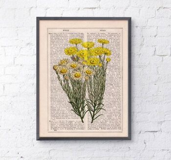 Wild daisy flowers Wall art prints - A5 Blanc 5.8x8.2 (No Hanger) 2