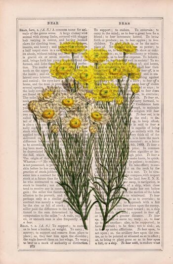Wild daisy flowers Wall art prints - A5 Blanc 5.8x8.2 (No Hanger) 3