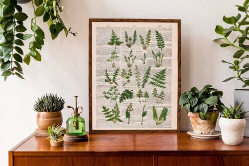 Wild ferns collection art collage print - A3 White 11.7x16.5 - Oak Wood Hanger