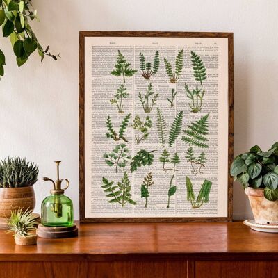 Wild ferns collection art collage print - A3 White 11.7x16.5 - Oak Wood Hanger