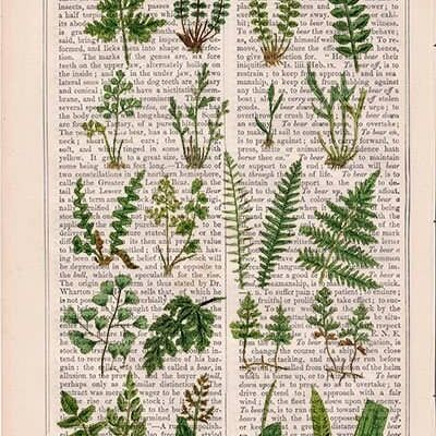 Wild ferns collection art collage print - White 8x10