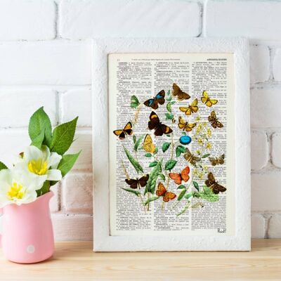 Wildblumen und Schmetterlinge Kunstdruck – Buchseite L 8,1 x 12 (ohne Aufhänger)