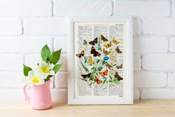 Impression d'art fleurs sauvages et papillons - A4 Blanc 8.2x11.6 4